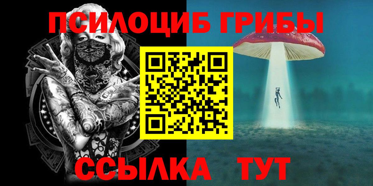 Ярцево  Псилоцибиновые грибы Psilocybine cubensis  Вход с VPN  закладка  Псилоцибиновые грибы прущие грибы 